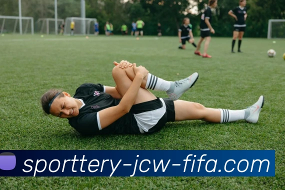 世界杯买球App平台生态图